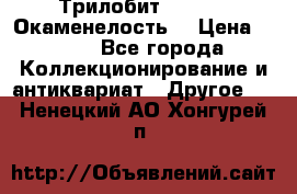 Трилобит Asaphus. Окаменелость. › Цена ­ 300 - Все города Коллекционирование и антиквариат » Другое   . Ненецкий АО,Хонгурей п.